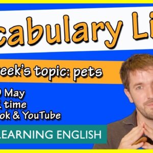 Vocabulary live: pets