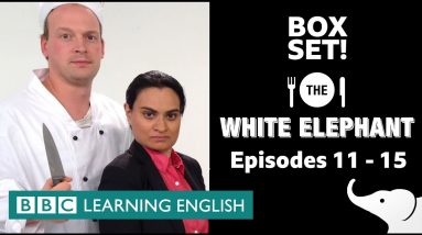 BOX SET: The White Elephant 🐘 comedy drama episodes 11=15! Learn English while you laugh 🤣💀