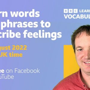 Vocabulary Live: feelings
